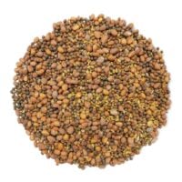 1-organic-spicy-mix-of-sprouting-seeds-main-min