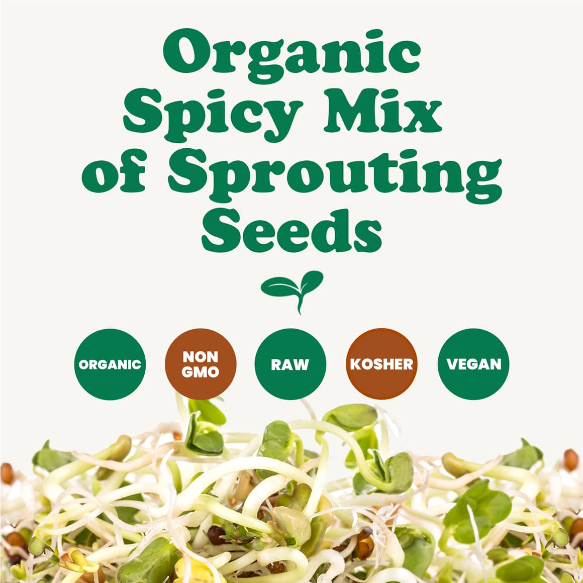 organic-spicy-mix-of-sprouting-seeds-2-min