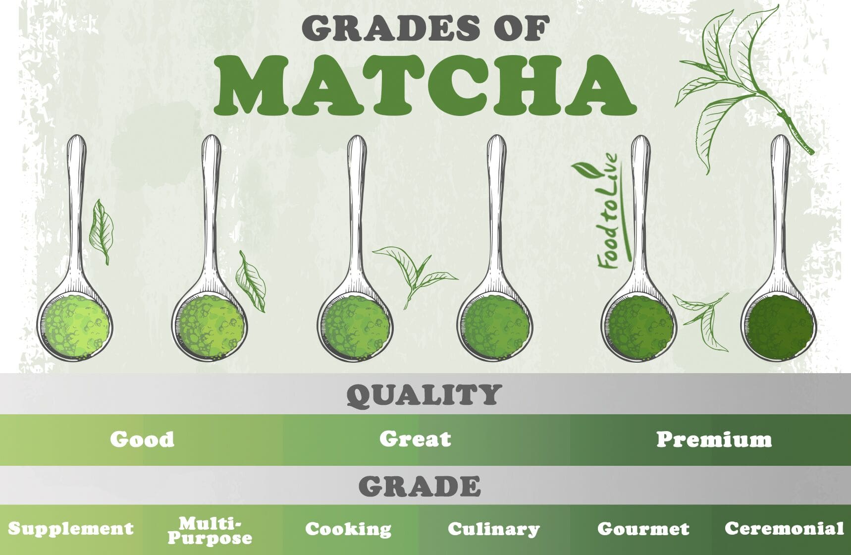 Matcha Infographics New