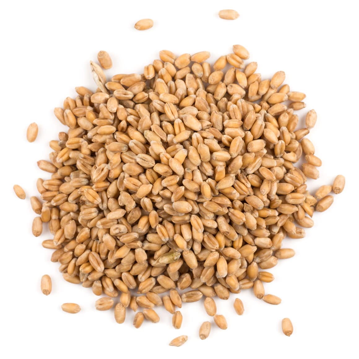 what-is-spelt-and-is-it-healthier-for-me-than-wheat-ecowatch