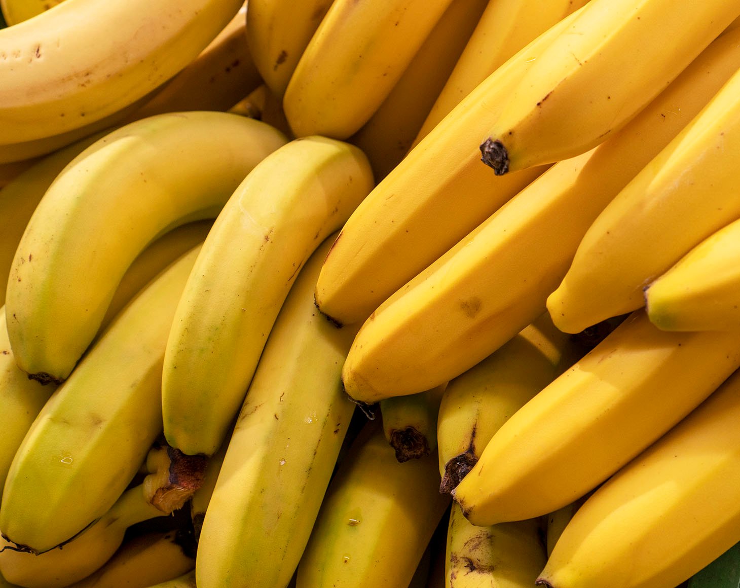 bunches of ripe yellow bananas close up