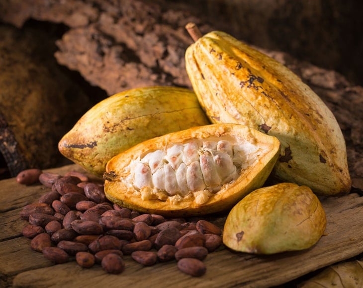 cacao-fruit-cacao-beans