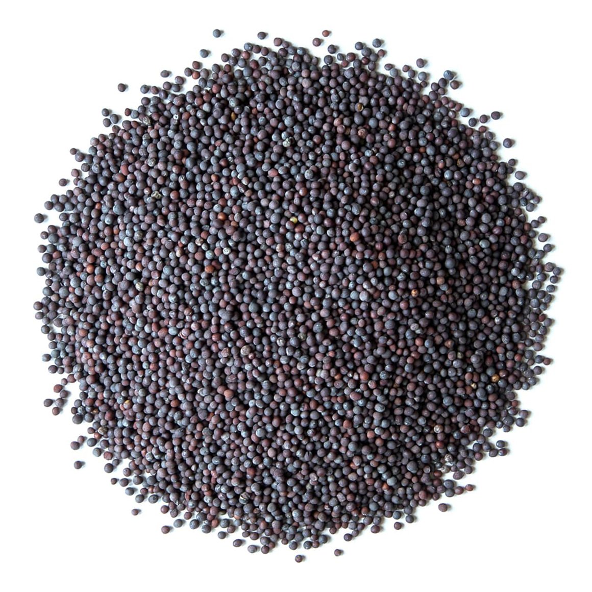 organic-black-mustard-seeds-main