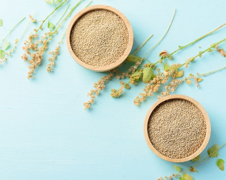 quinoa seeds and plant