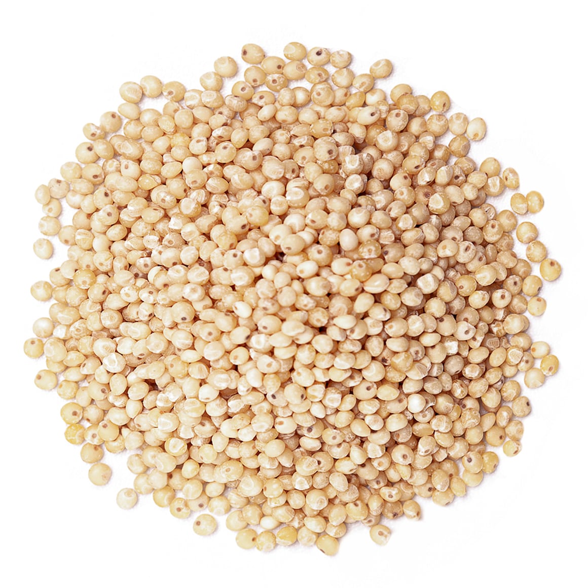 organic-whole-grain-sorghum-main-upd-min
