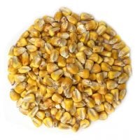 organic-yellow-whole-corn-main-min