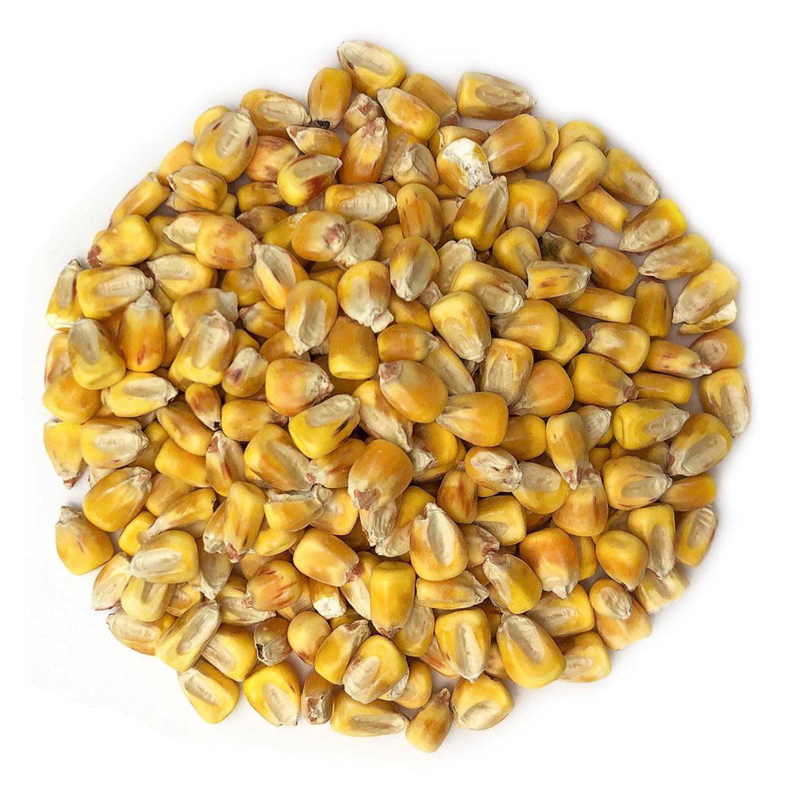 organic-yellow-whole-corn-main-min