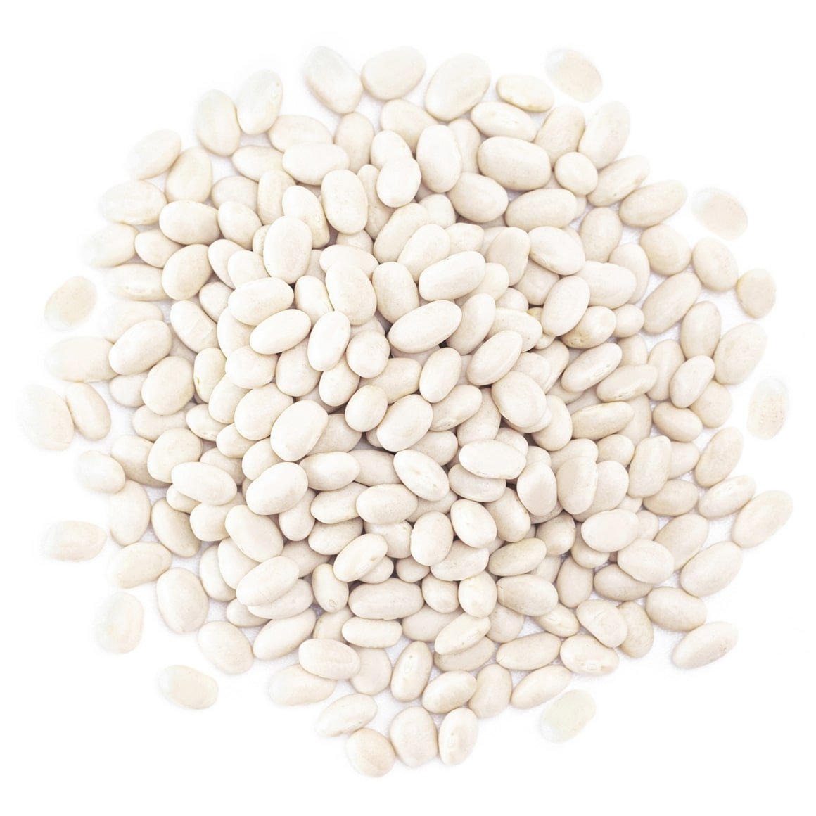 conventional-navy-beans-main-min