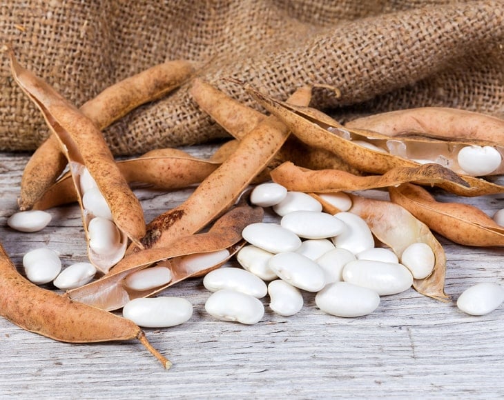 organic-large-white-kidney-beans-plant-min