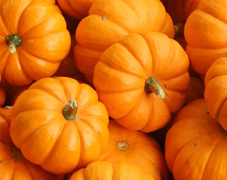 close-up-shot-fresh-pumpkins-min