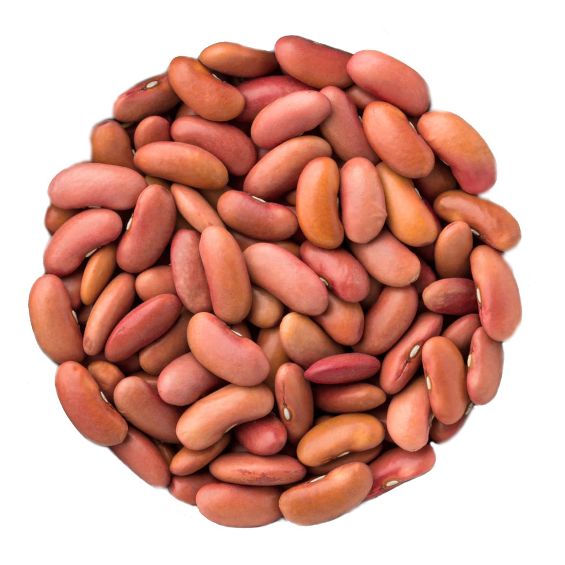 Light-Red-Kidney-Beans-main-image11