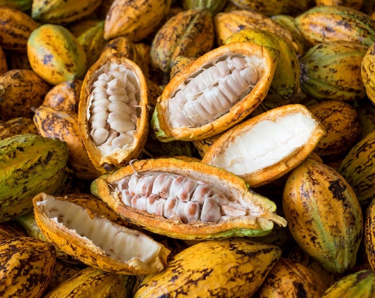 cacao-fruit-with-aw-cacao-beans-min