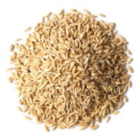 gluten-free-organic-oat-groats-whole-grain-main