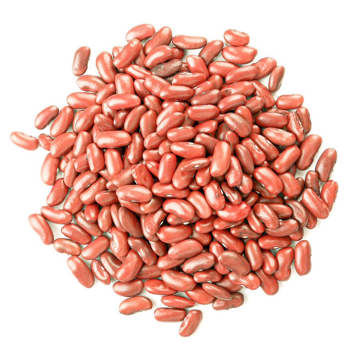 light-red-kidney-beans-main-mi-upd