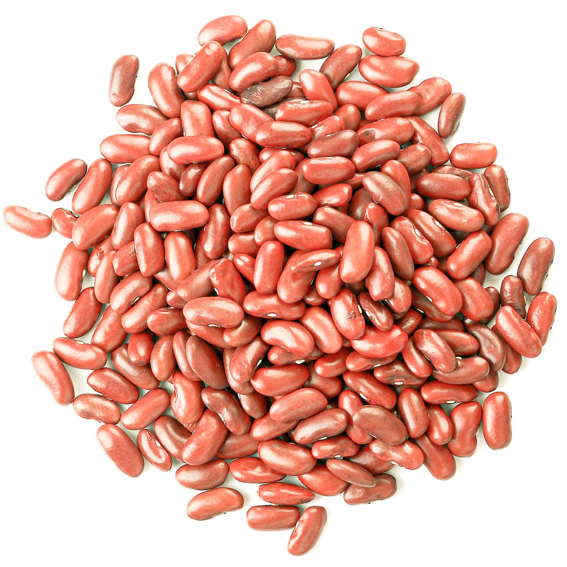 light-red-kidney-beans-main-min
