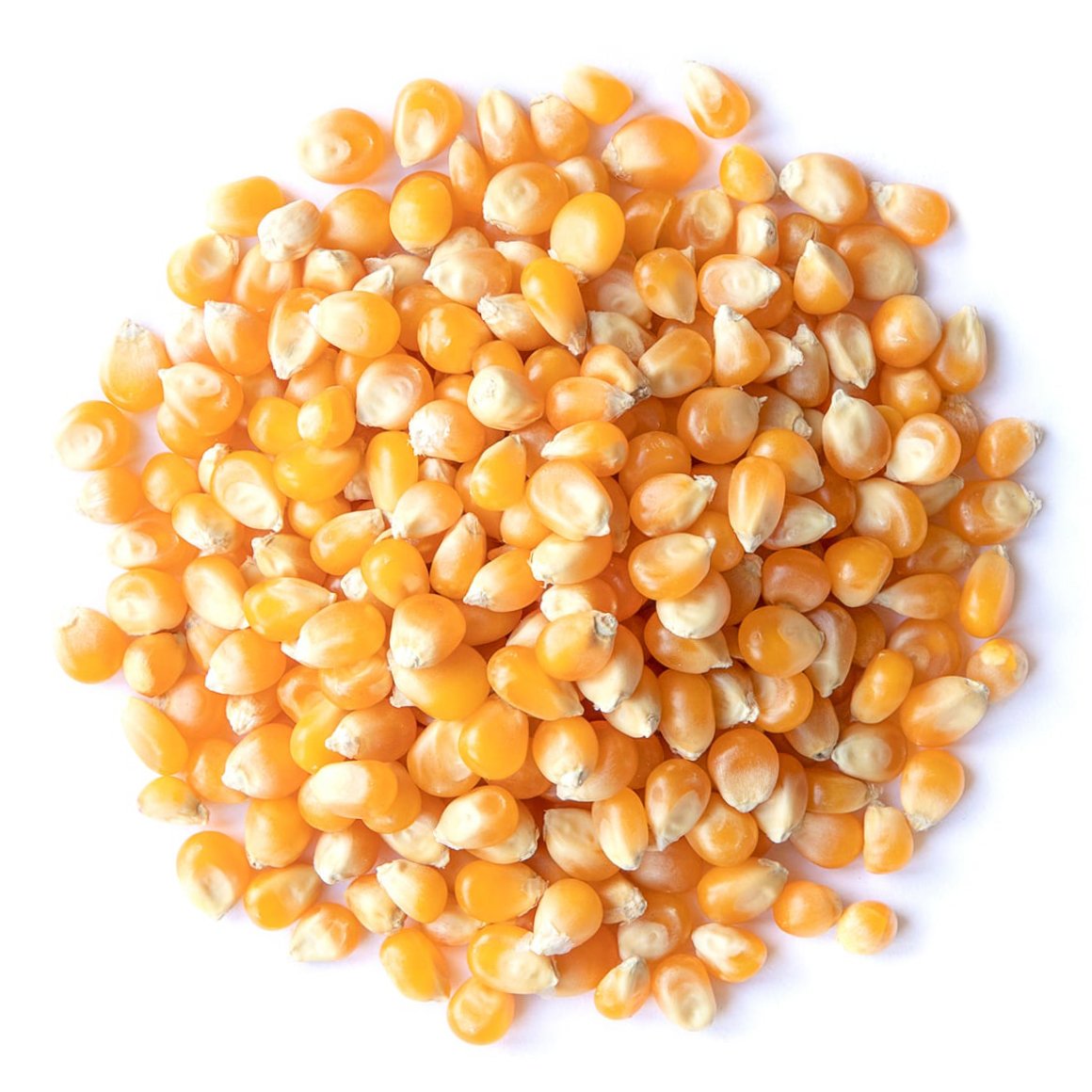 organic-yellow-popcorn-main
