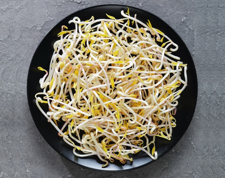 fresh-bean-sprouts-from-dry-beans-bundle-of-light-red-kidney-navy-pinto-and-black-beans-min