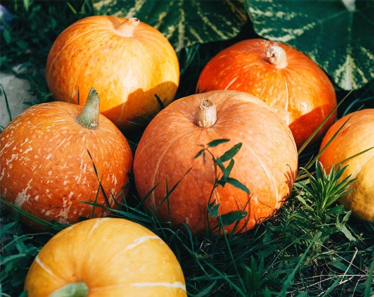 ripe-small-pumpkins-different-varieties-min