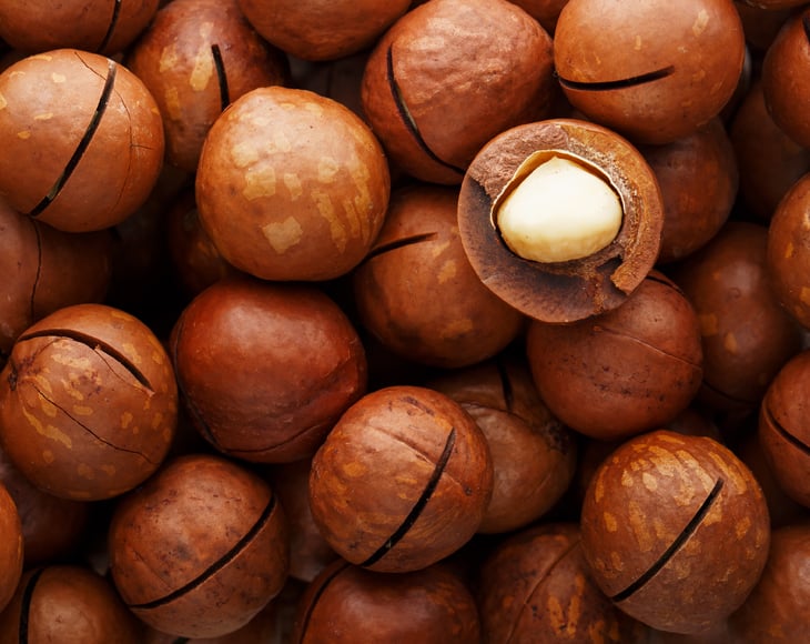 organic-macadamia-nuts-in-shell