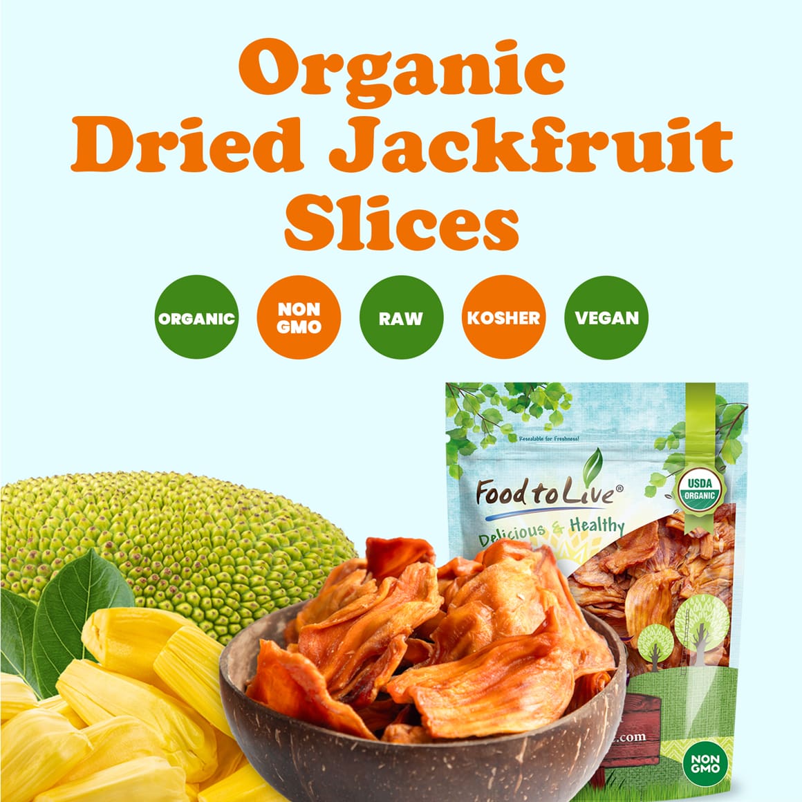 organic-dried-jackfruit-slices-2-min