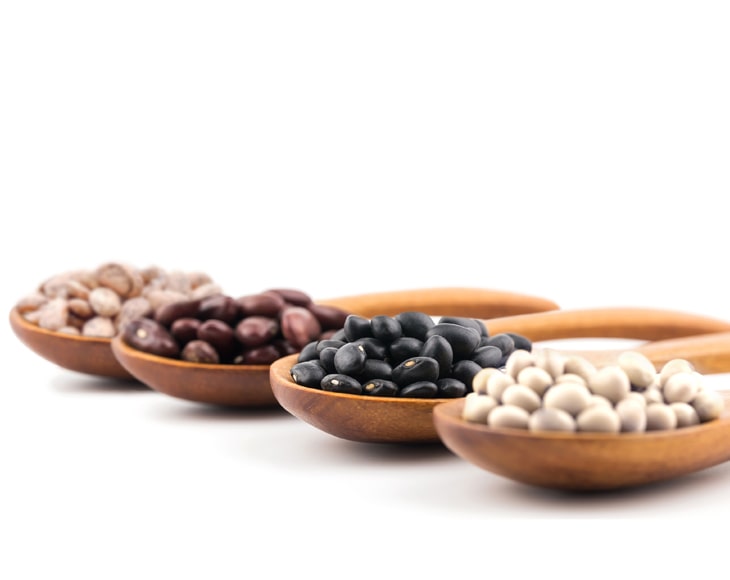 organic-dry-beans-bundle-of-dark-red-kidney-navy-pinto-and-black-beans-3-min