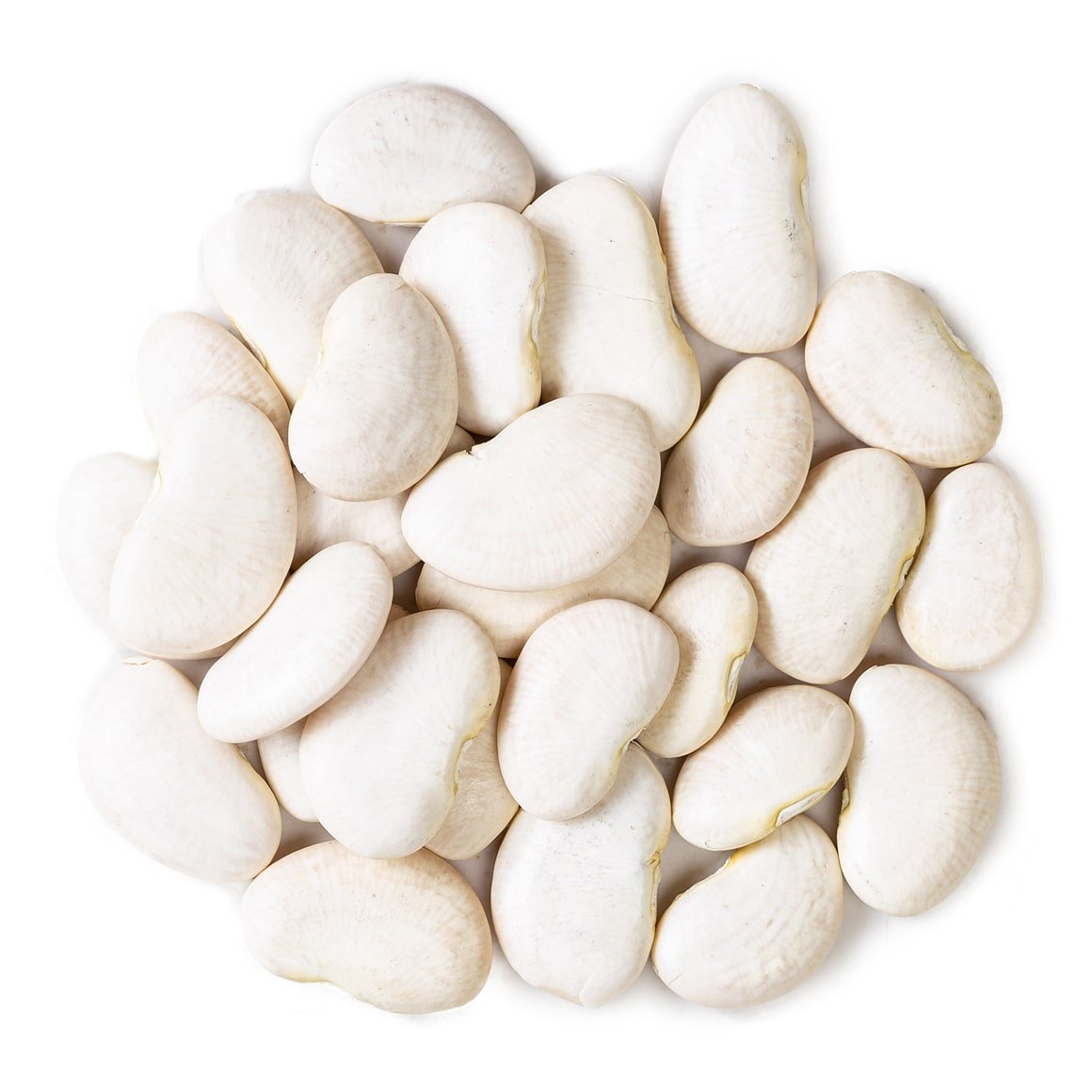 Lima Beans, Large Buy in Bulk from Food to Live