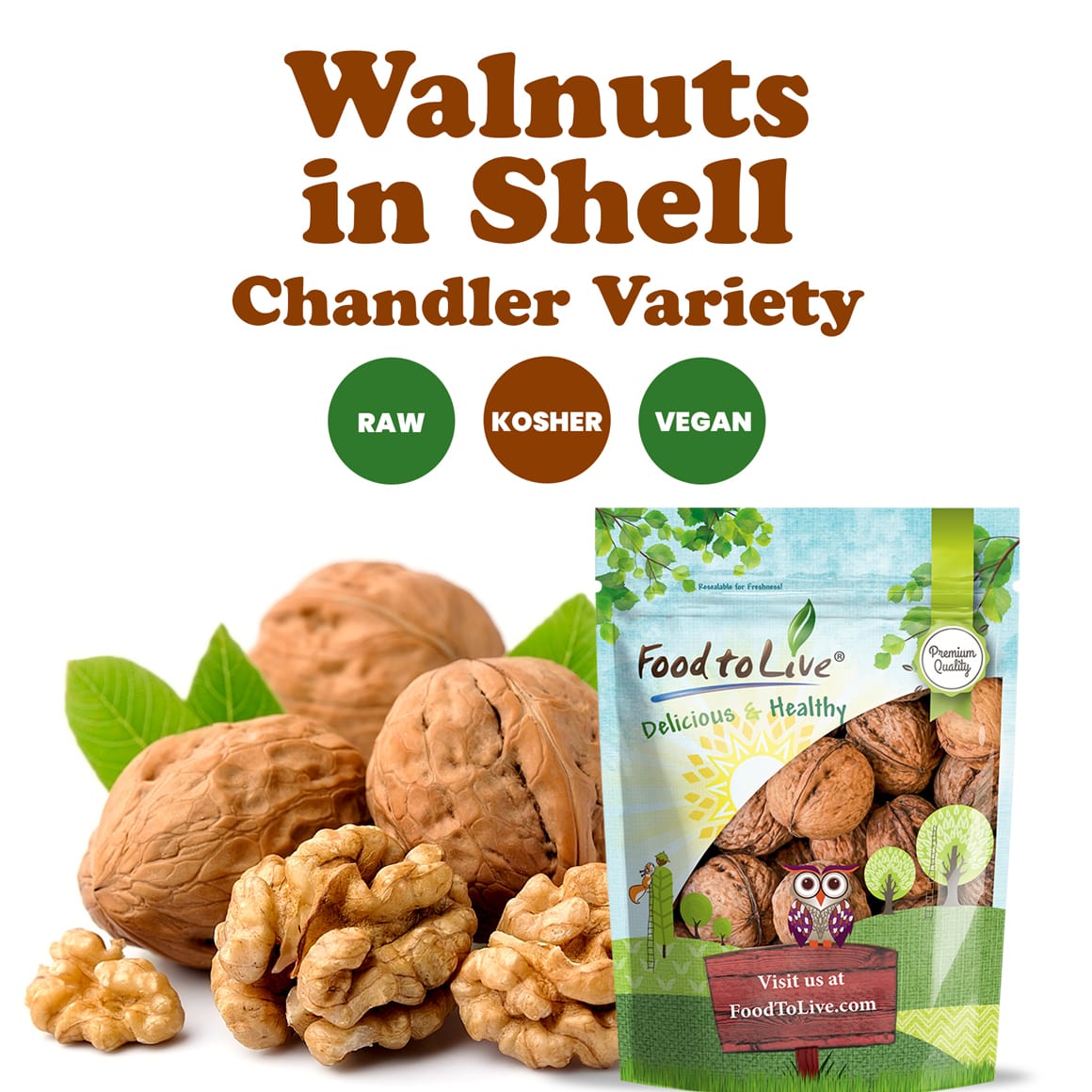conventional-chandler-jumbo-walnuts-in-shell-2-min