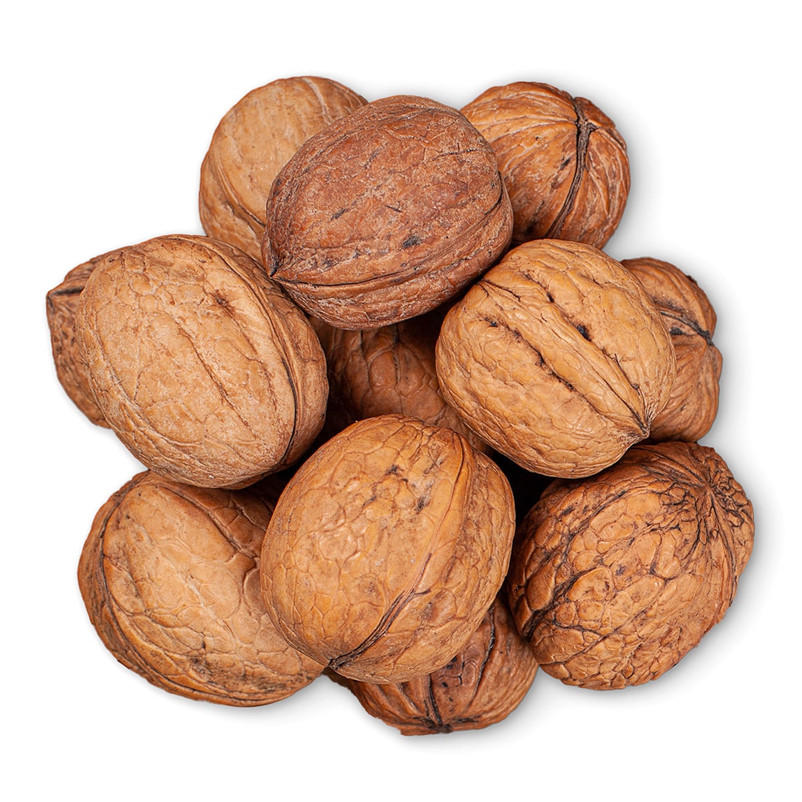 conventional-chandler-jumbo-walnuts-in-shell-main-min