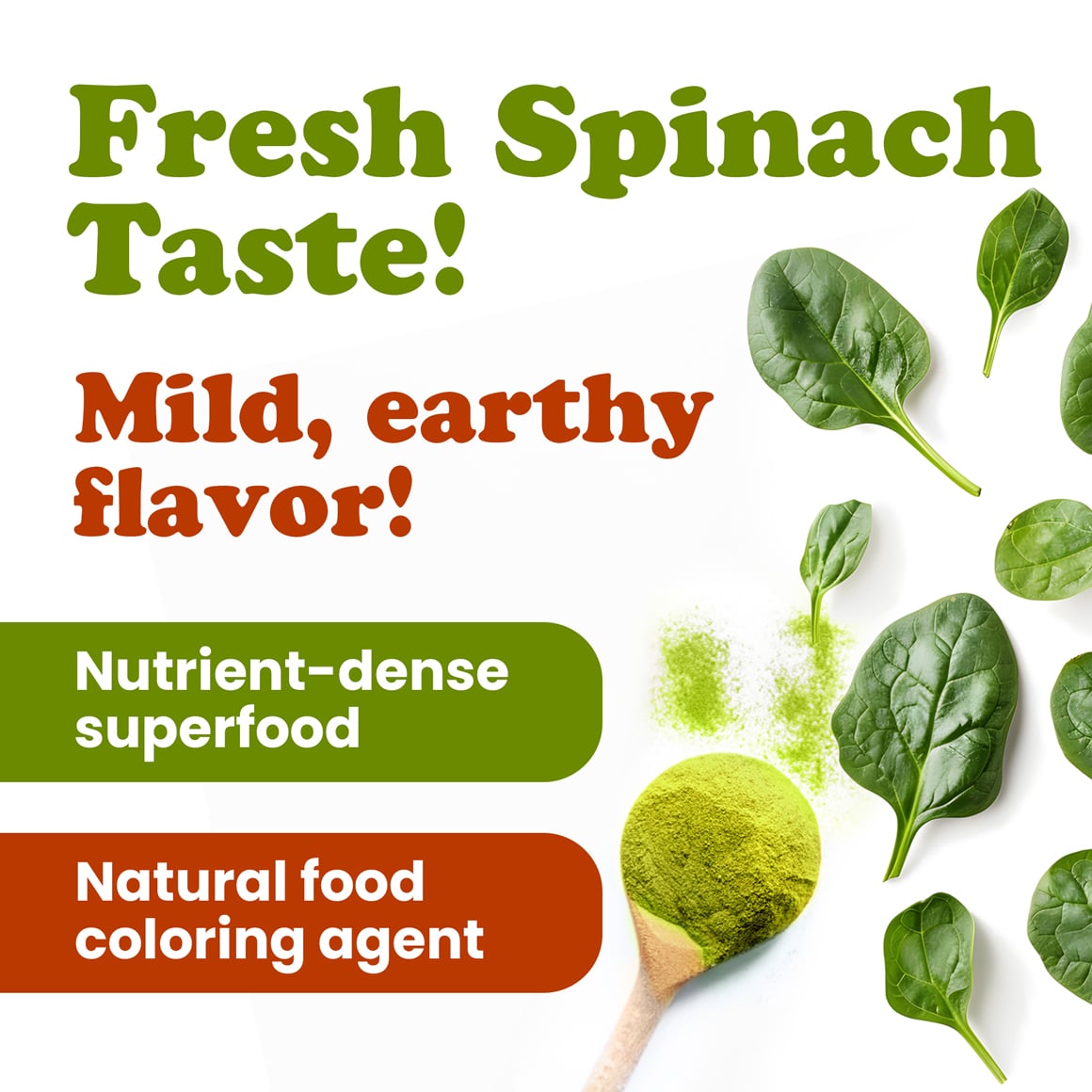 Spinach Powder 3