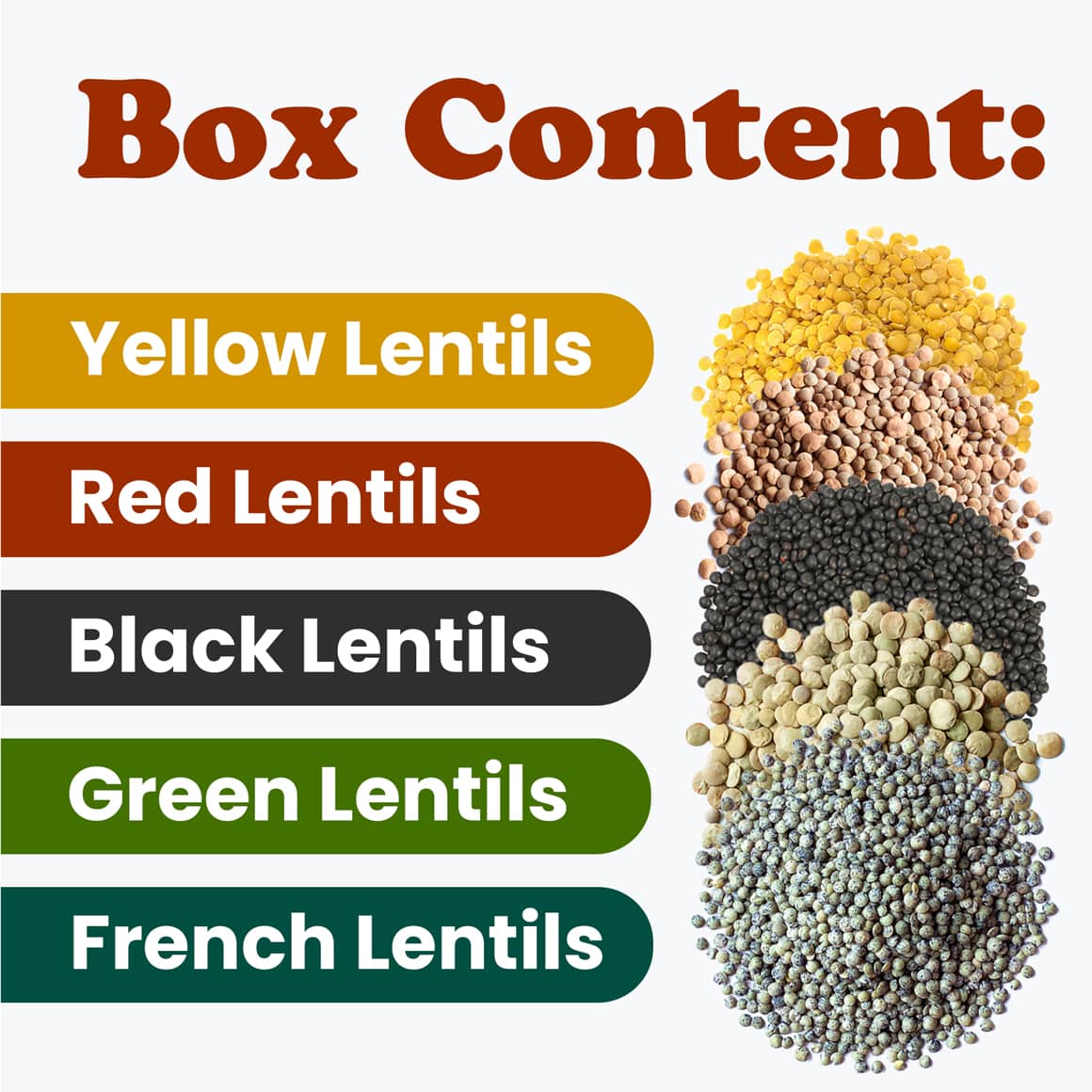 Organic Lentil Variety Set 1