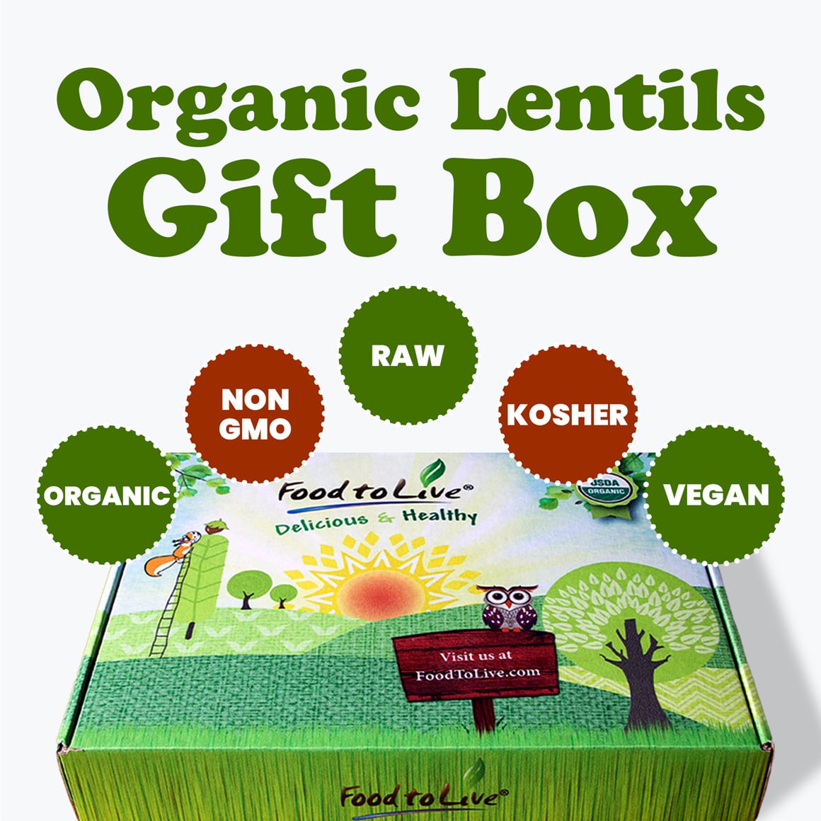 Organic Lentil Variety Set