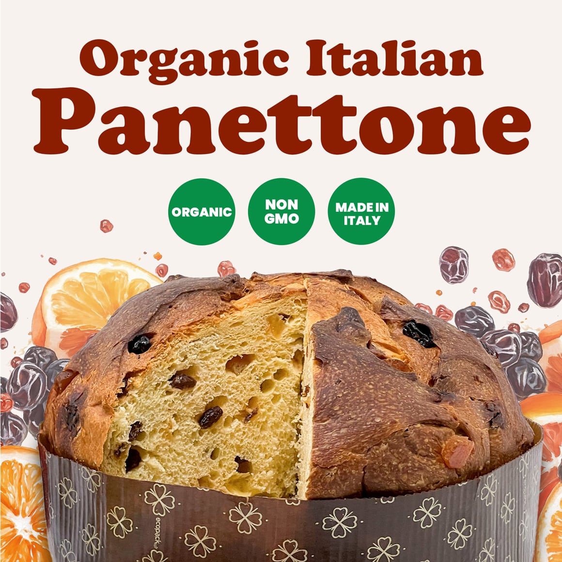 Organic Italian Panettone 1