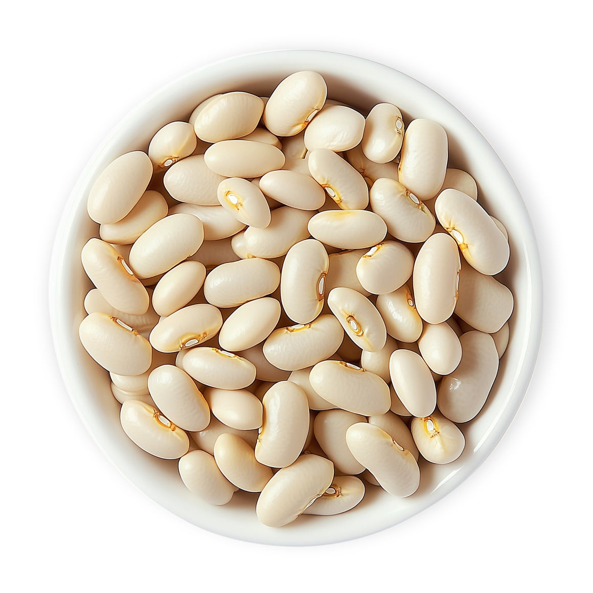 Organic Italian Canned Cannellini Beans