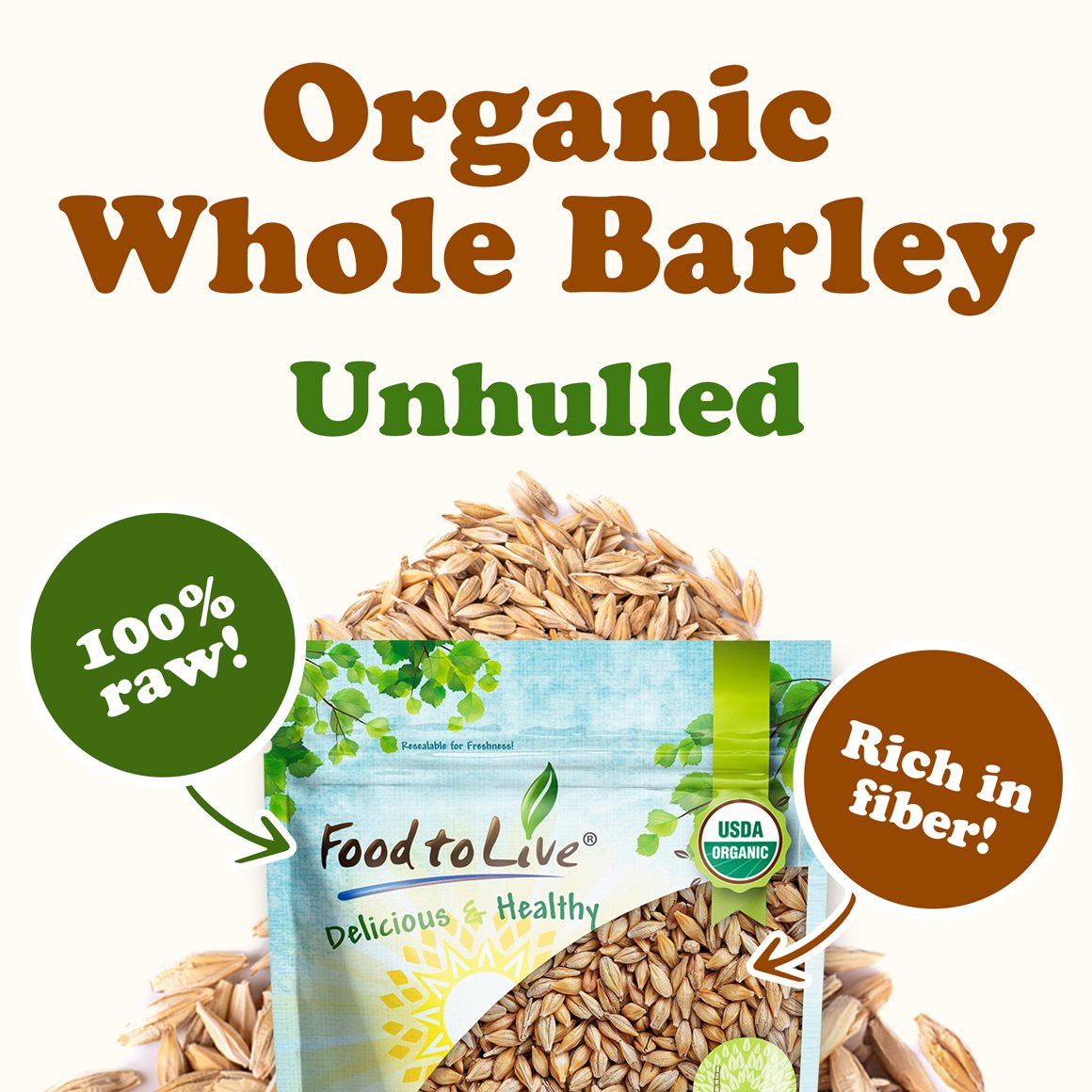 Organic Whole Unhulled Barley Buy in Bulk from Food to Live