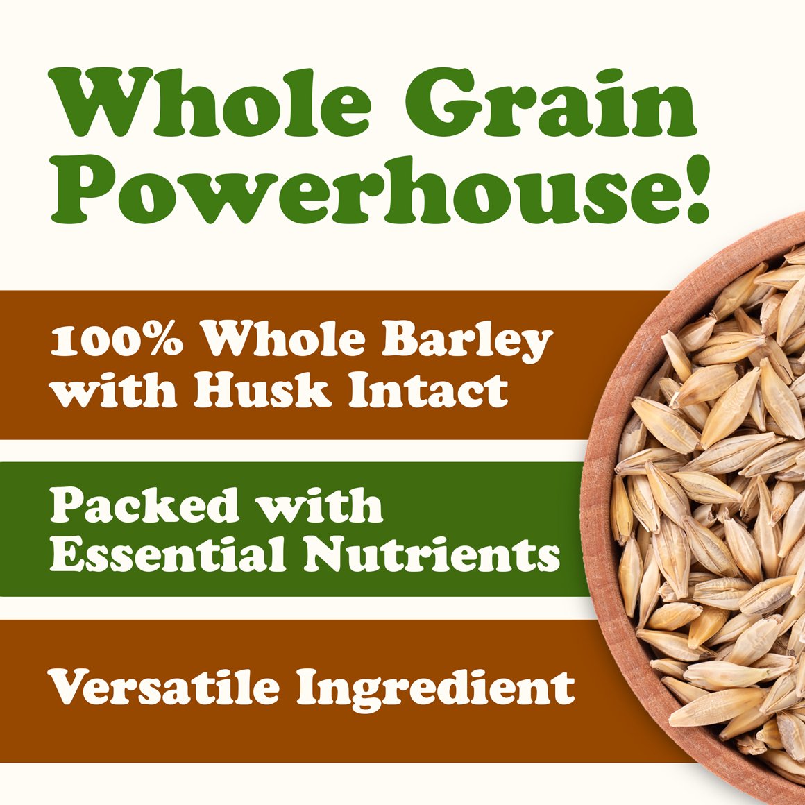 Organic Whole Unhulled Barley 2