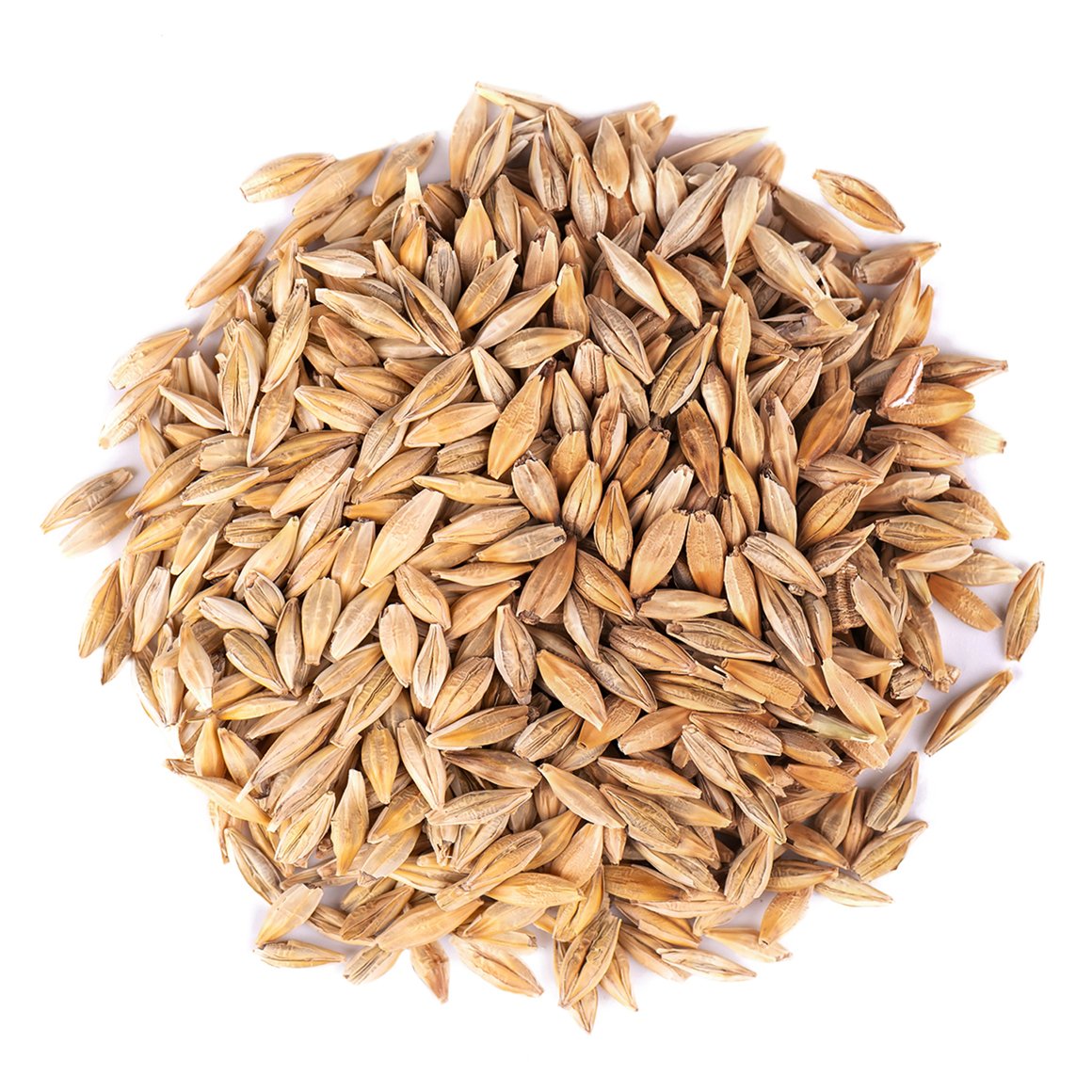 Organic Whole Unhulled Barley