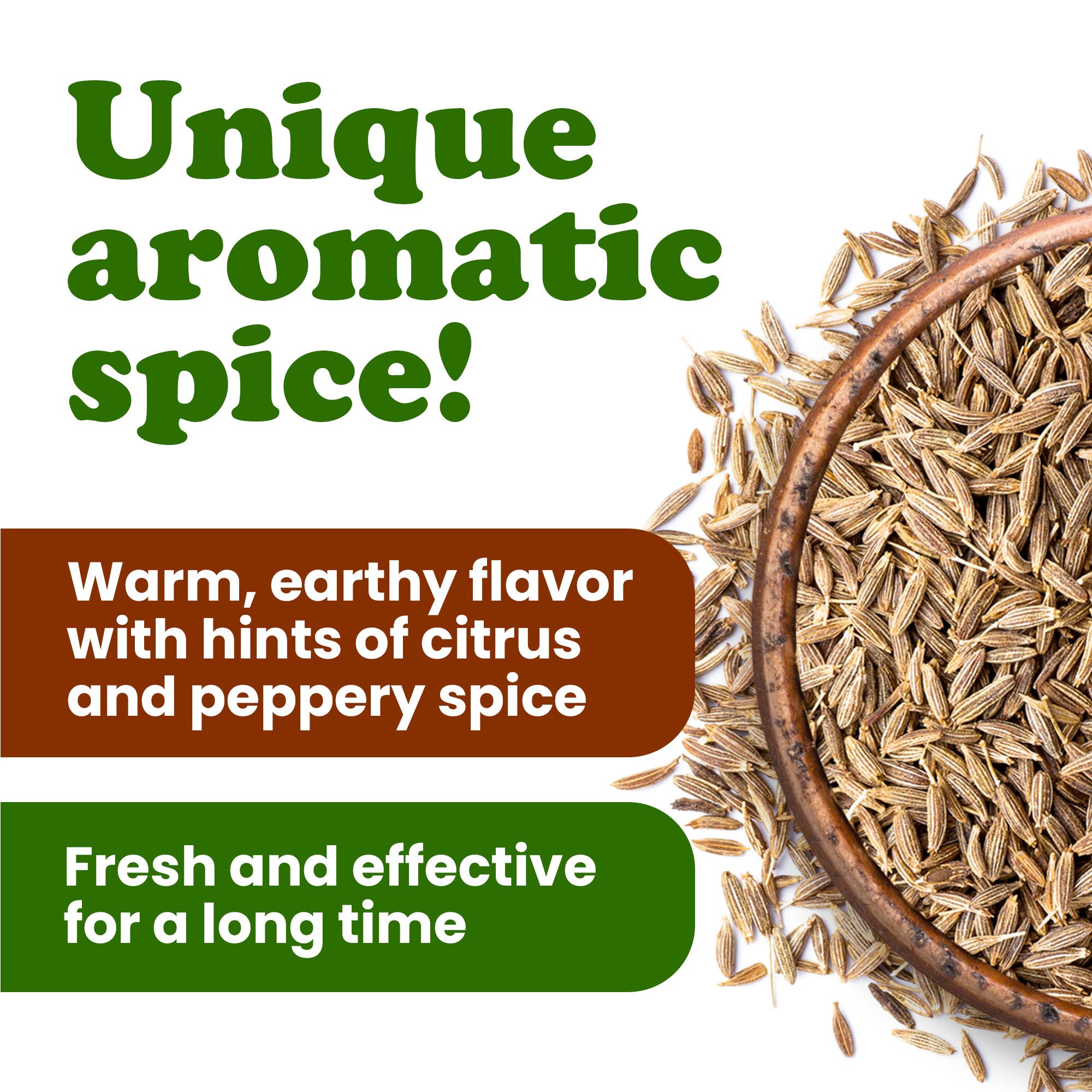 organic-cumin-seeds-3